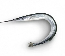 Сарган черноморский свежемороженый