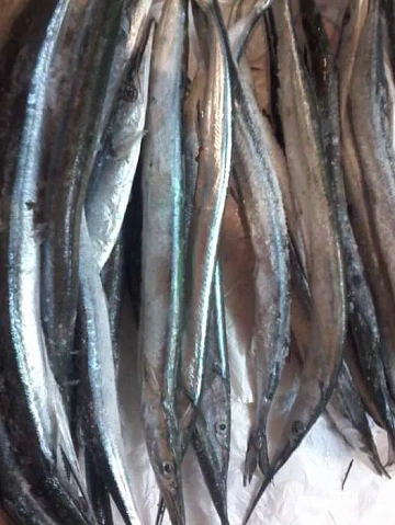 Фото Сарган черноморский свежемороженый (коробка 10кг)